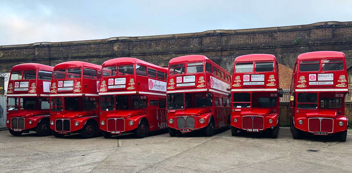 10 years of bus tours - our buses