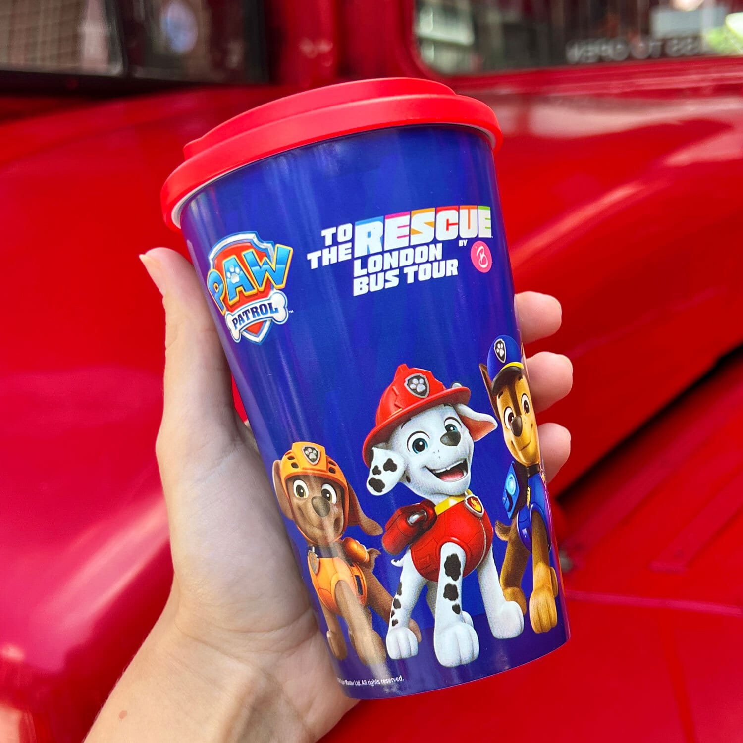 Paw Patrol Day Out with Brigit's Bakery