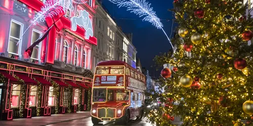 XMAS LIGHTS BUS TOURS!